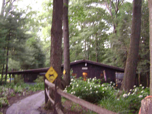 Building photograph for 202 CRANE HOLLOW RD